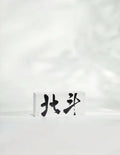 北斗(8gx2)